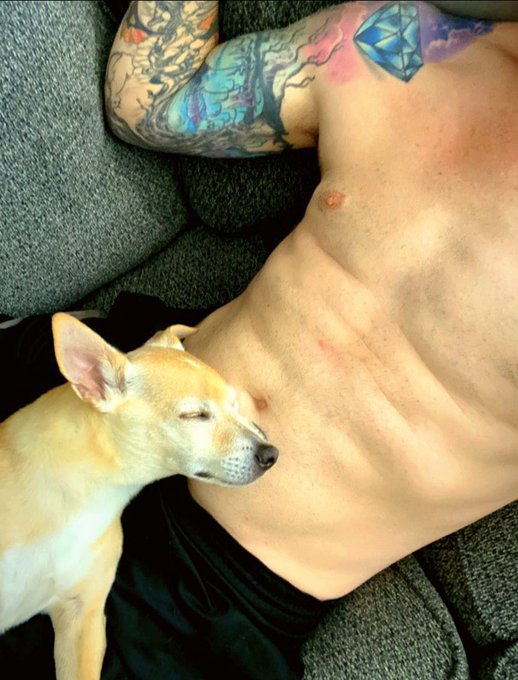 My Buddy is always by my side...Follows me everywhere and just sleeps on me whenever he wants!🐶❤️ https://t