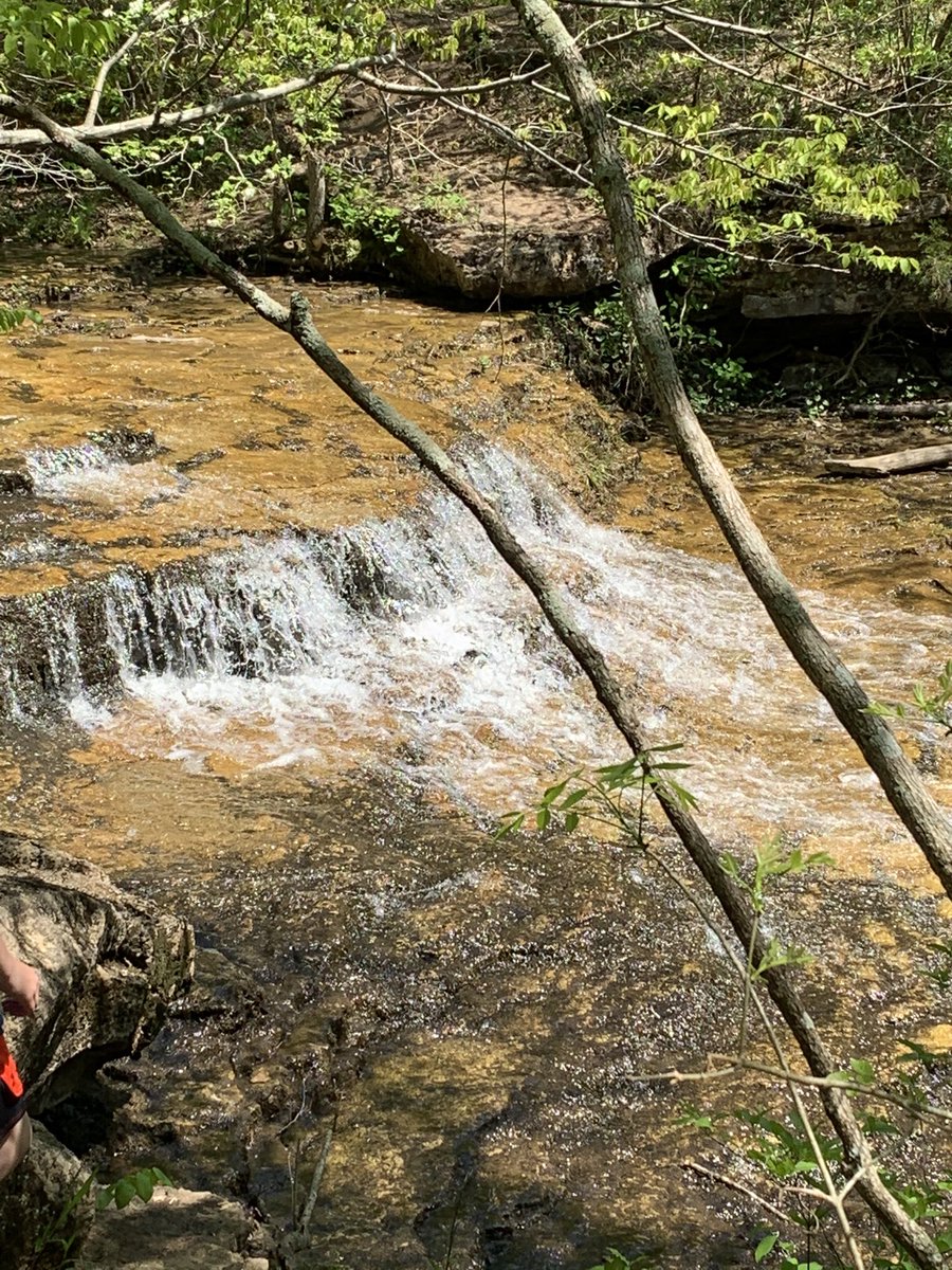 Dave Henson tweet media