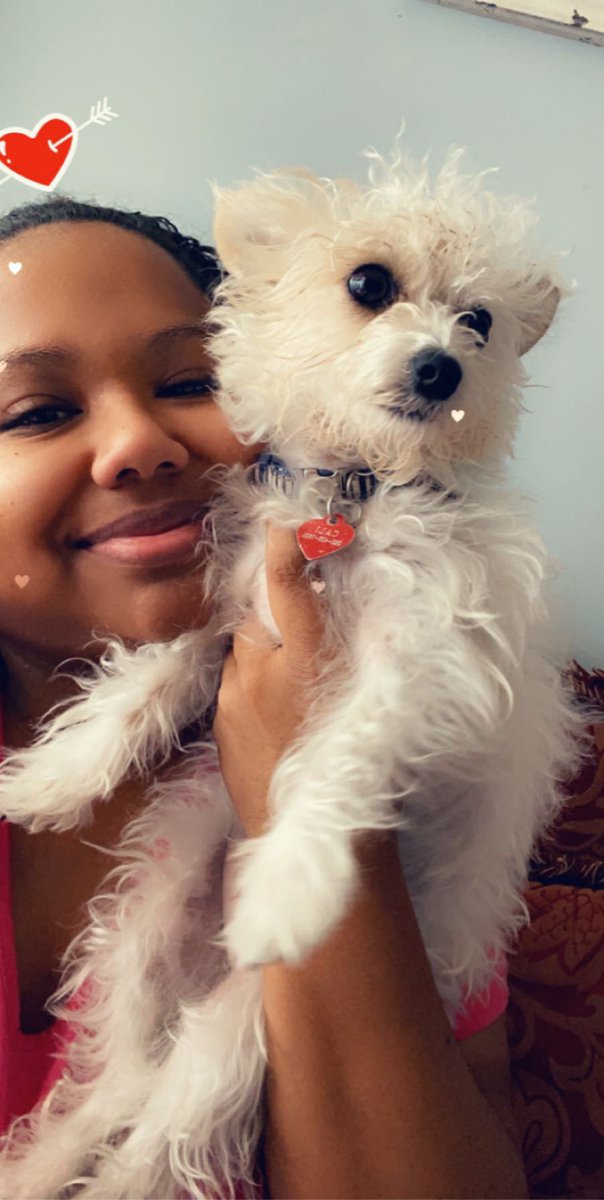 _lesssleee's tweet photo. Happy birthday to this bundle of energy. Her face is covered in cookies and and whip cream. #stickyface Its us,  never them. https://t.co/oAZ1E7ASnm