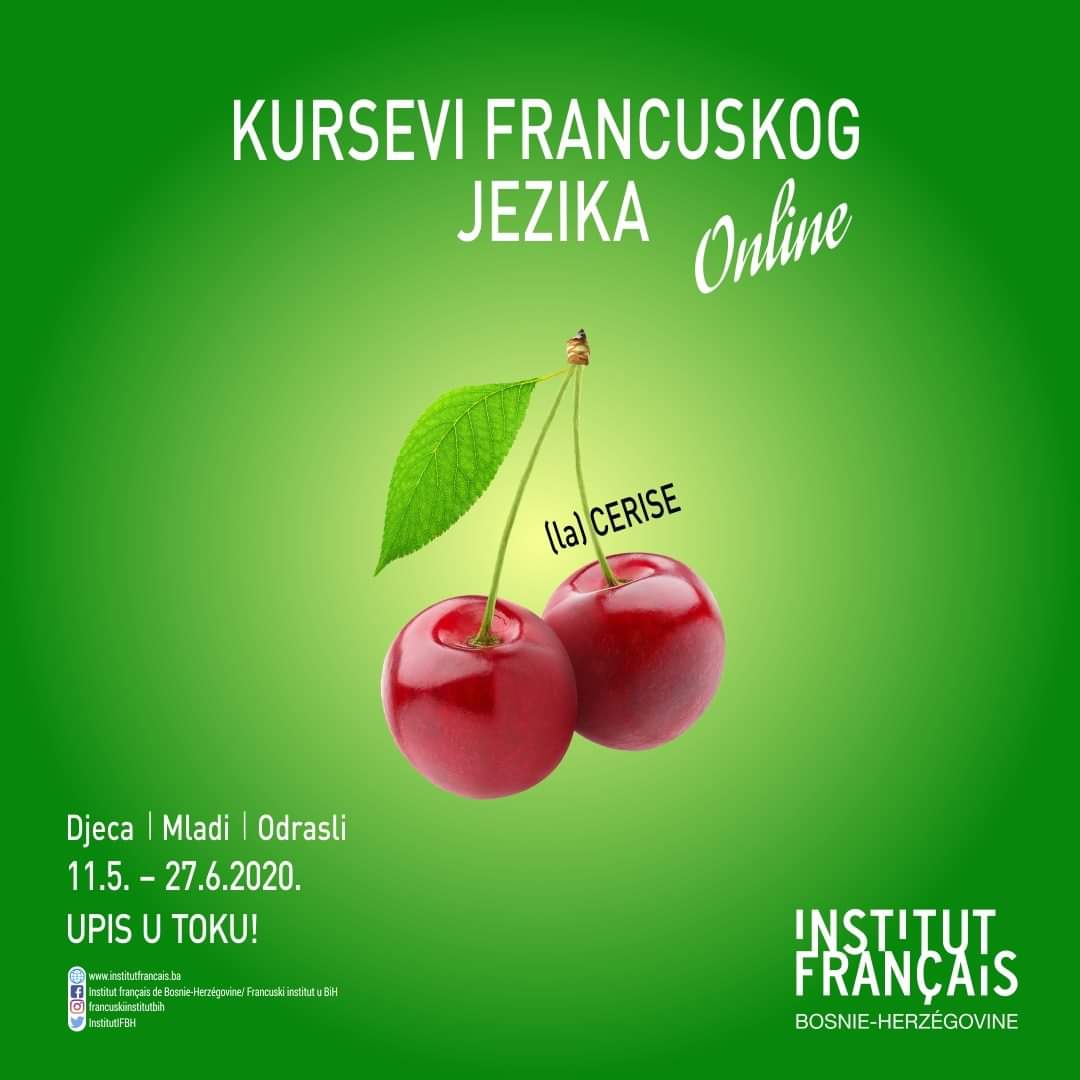 InstitutIFBH's tweet photo. https://t.co/mwA1SyzjNy