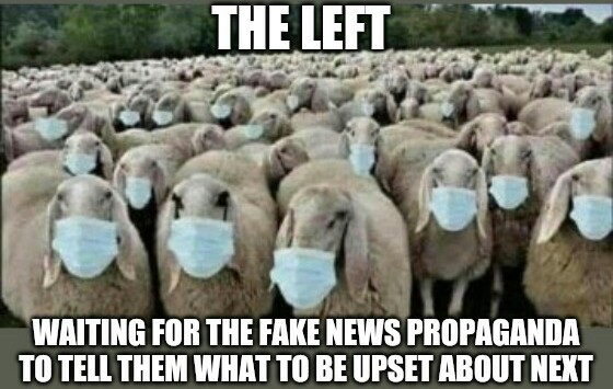 Cypress Mills tweet media