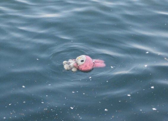 Cinnamoon15's tweet photo. Omg why am I so awkward. I'm never gonna talk to anyone ever again. Thanku bye. https://t.co/HHFthTFXJ3