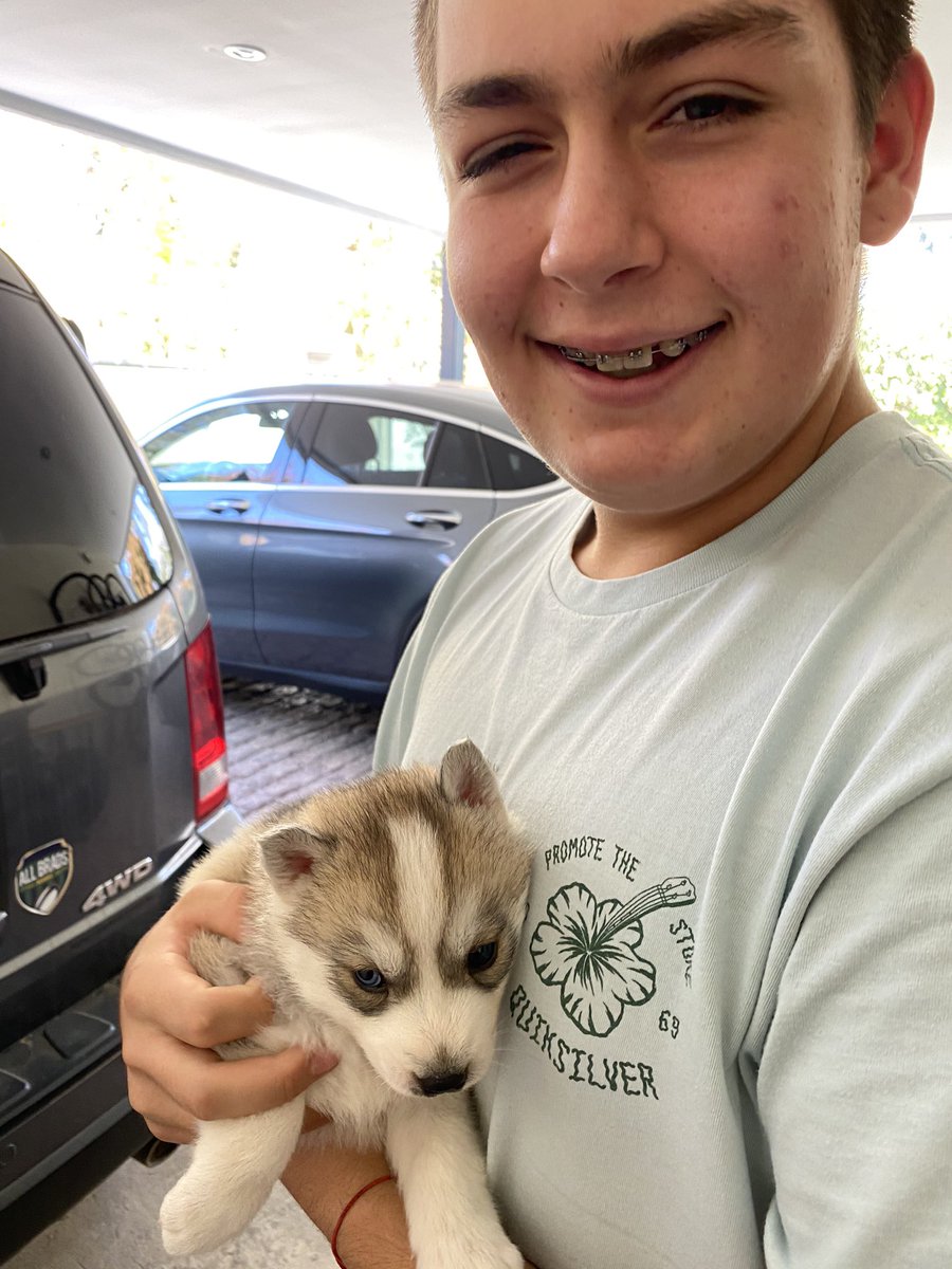 Our new family member.  We called him Lando!!! <a href="/LandoNorris/">Lando Norris</a>