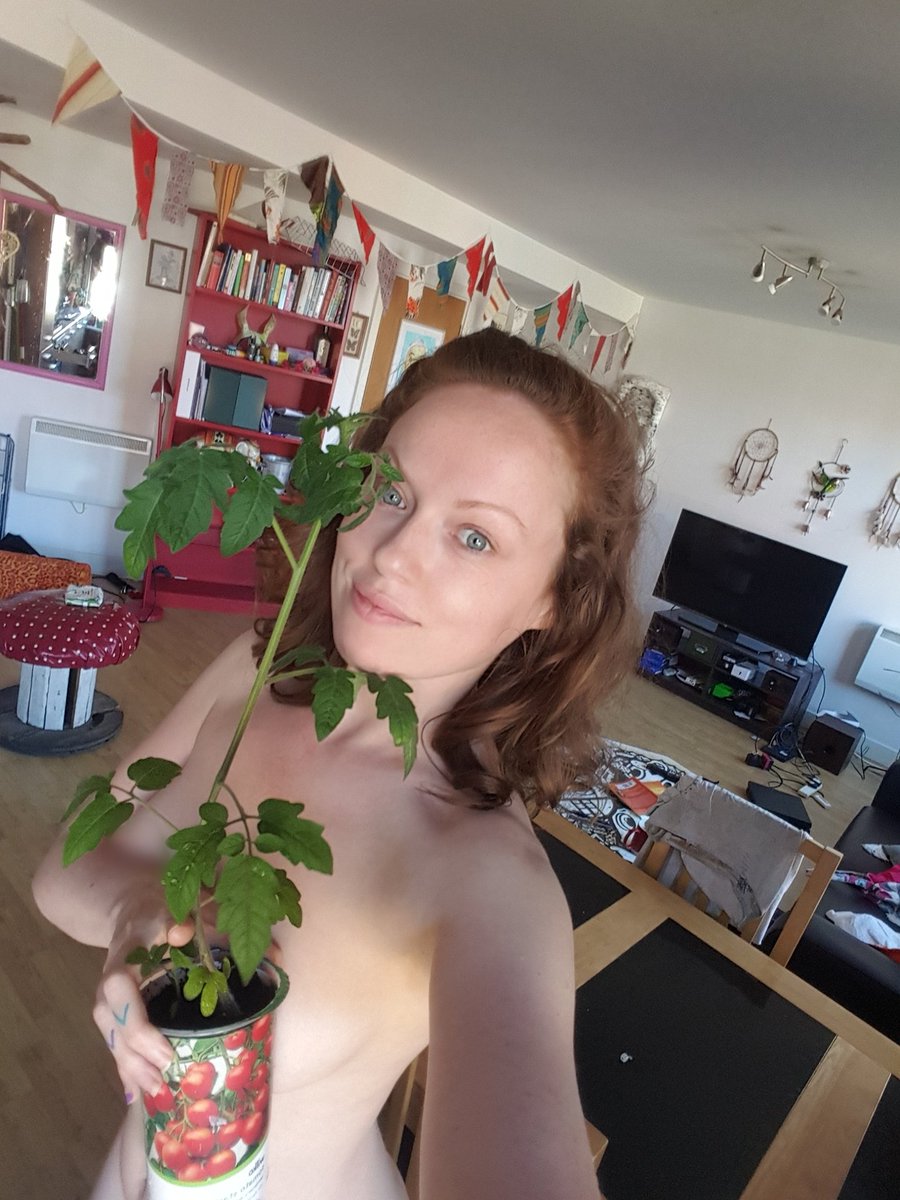 <a href="/WorldNGD/">World Naked Gardening Day</a> My garden is inside my apartment 🌱🍅