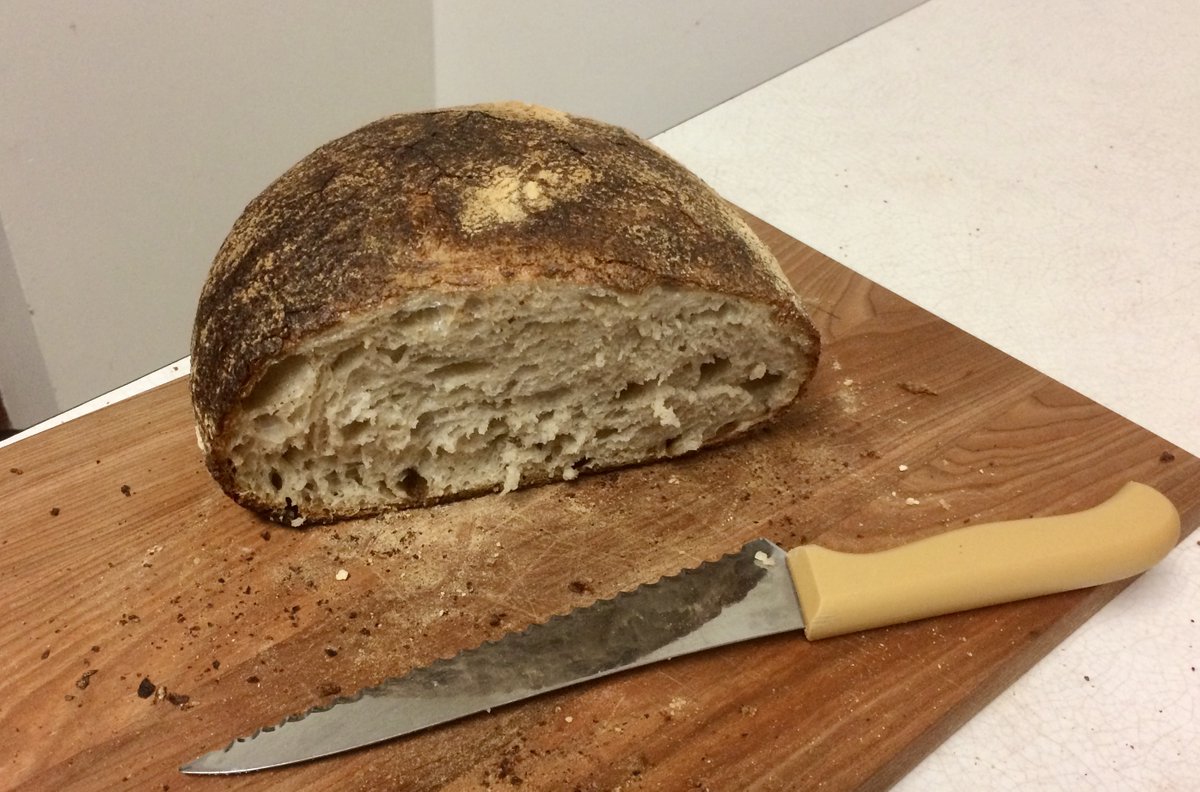 Katie MacDonald tweet media