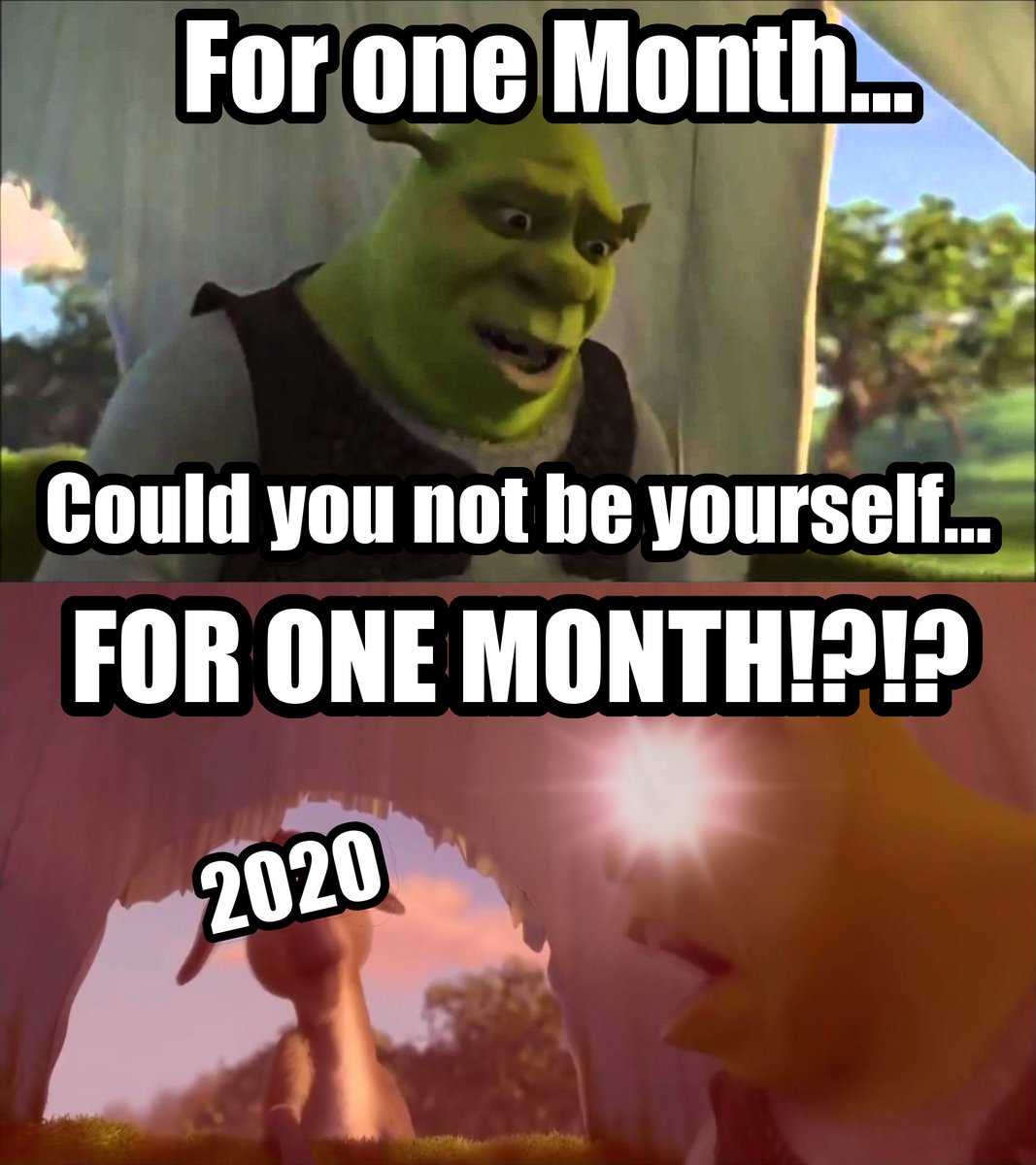 Ver imagen en Twitter