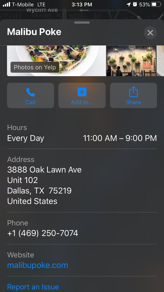 StubbornIntellectual tweet media