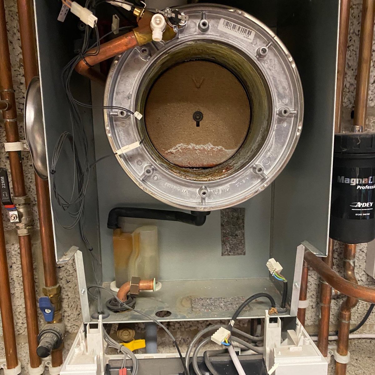ElementsPlumb's tweet photo. When we service we really do mean a full service. Boiler fully striped down, seals changed, filters cleaned expansion vessel drained and checked. That’s how it should be done 🔧 #elementsplumb #plumbing #heating #boilers https://t.co/WMec5KTSLU