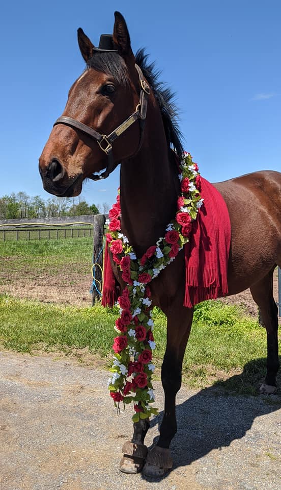 SecretariatCen1's tweet photo. MMSC Grad Fowler and his person Ashlee, dressed to impress for the 1st Saturday in May! Happy #KYDerby Day - even if it is virtual! ๐๐
#TeamMMSC #OTTB #AdoptDontShop https://t.co/FdLgKN01yU