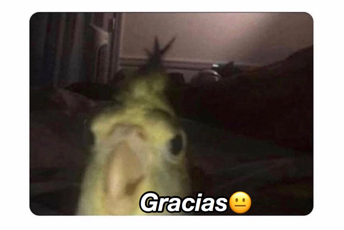 itsrosaalia's tweet photo. Yo cuando tengo un buen día y alguien me lo Arruina: https://t.co/vr4SvmG3LV