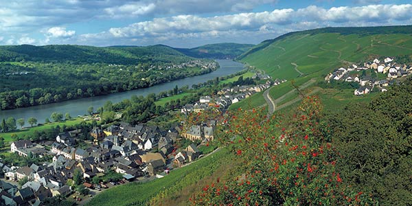 jamiem0n's tweet photo. I have home sickness.... I miss it so much. I want to wander through vineyards again and along the Mosel. I want to eat wild grapes at the street and just enjoy being there. I want to go back one day.

#graach https://t.co/eLQgmeuO6e