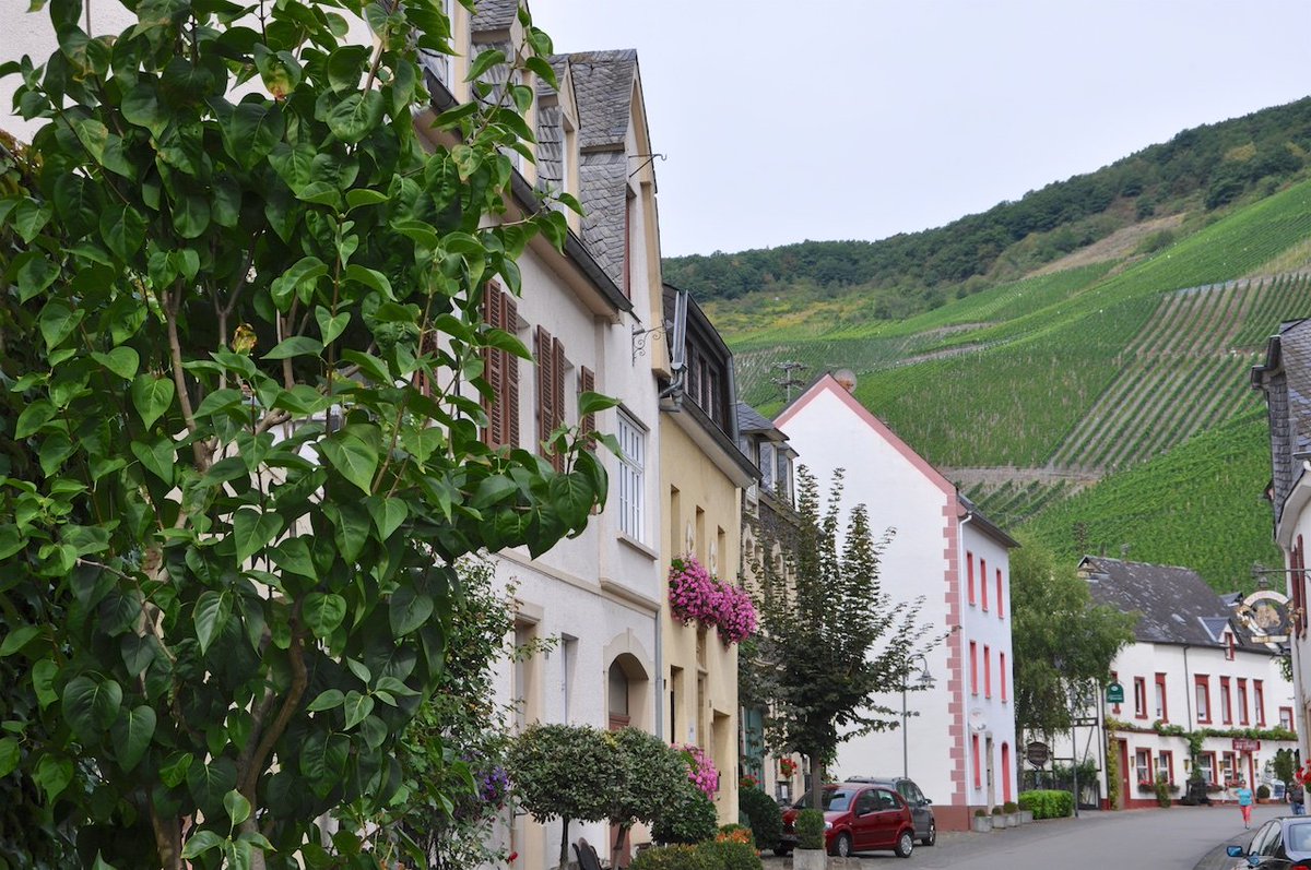 jamiem0n's tweet photo. I have home sickness.... I miss it so much. I want to wander through vineyards again and along the Mosel. I want to eat wild grapes at the street and just enjoy being there. I want to go back one day.

#graach https://t.co/eLQgmeuO6e