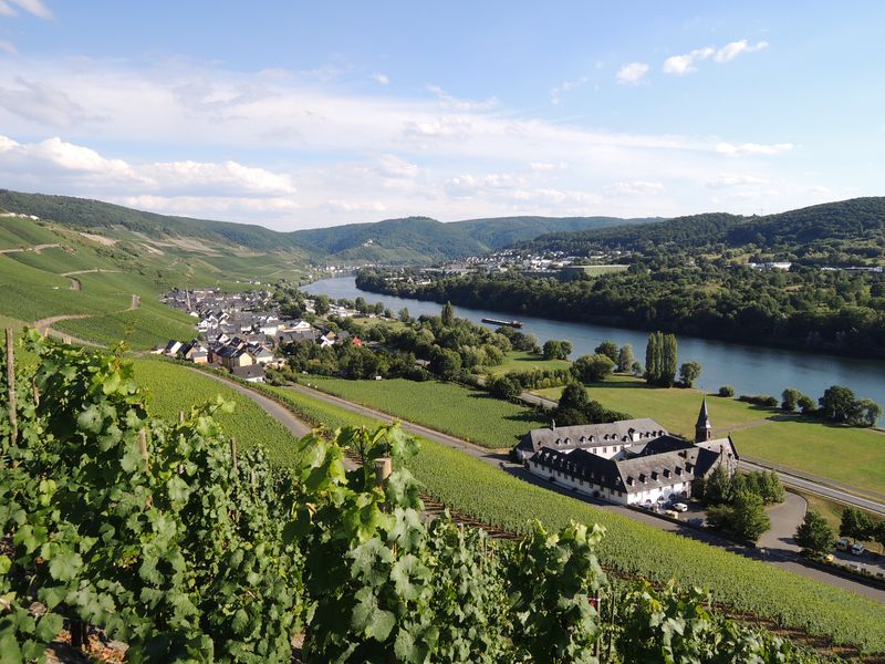 jamiem0n's tweet photo. I have home sickness.... I miss it so much. I want to wander through vineyards again and along the Mosel. I want to eat wild grapes at the street and just enjoy being there. I want to go back one day.

#graach https://t.co/eLQgmeuO6e