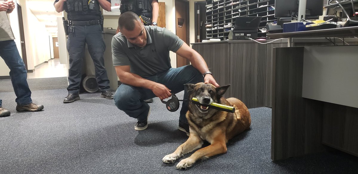 RapidCityPD's tweet photo. It's a somber day around the RCPD as we said goodbye to our longest serving police K9, Jackson. He hasn't been feeling well lately, but we made sure he got the full sendoff to his last vet appointment.

Though we're sad, we know you're chasing bad guys in a better place now. https://t.co/rKSLkn4aHp