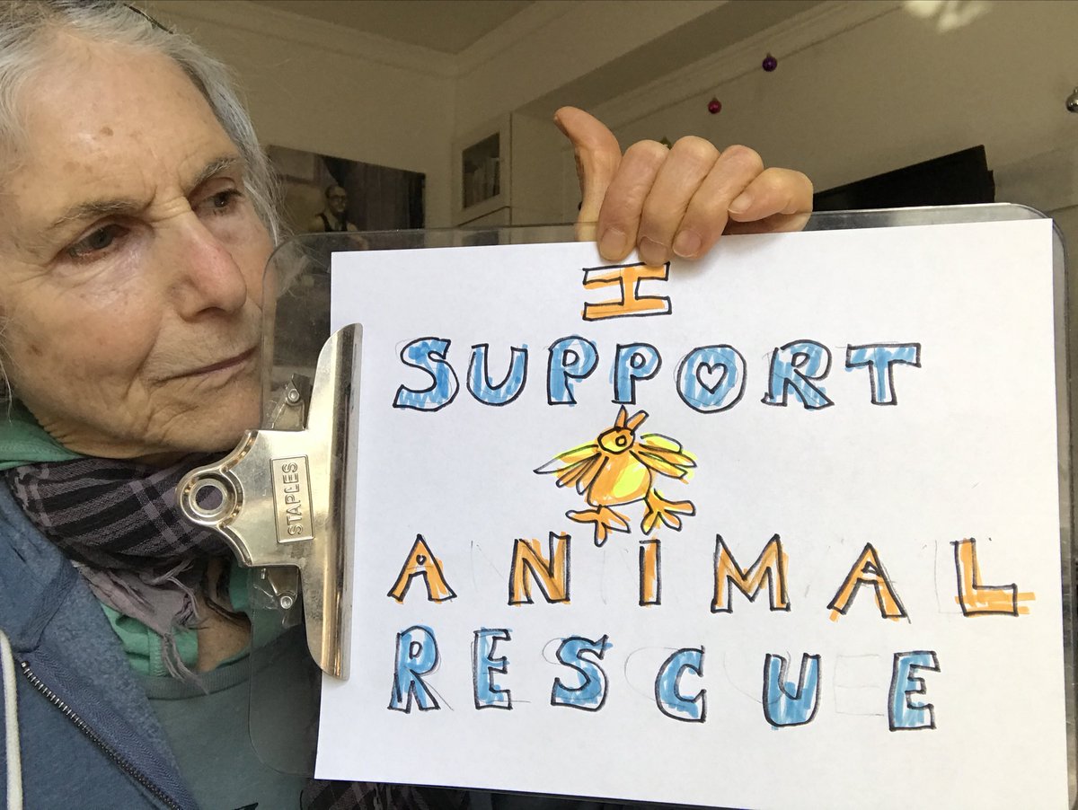 Gracewaves's tweet photo. ⁦@jillrav⁩ stop prosecuting nonviolent activists rescuing animals https://t.co/KzRCJukohr