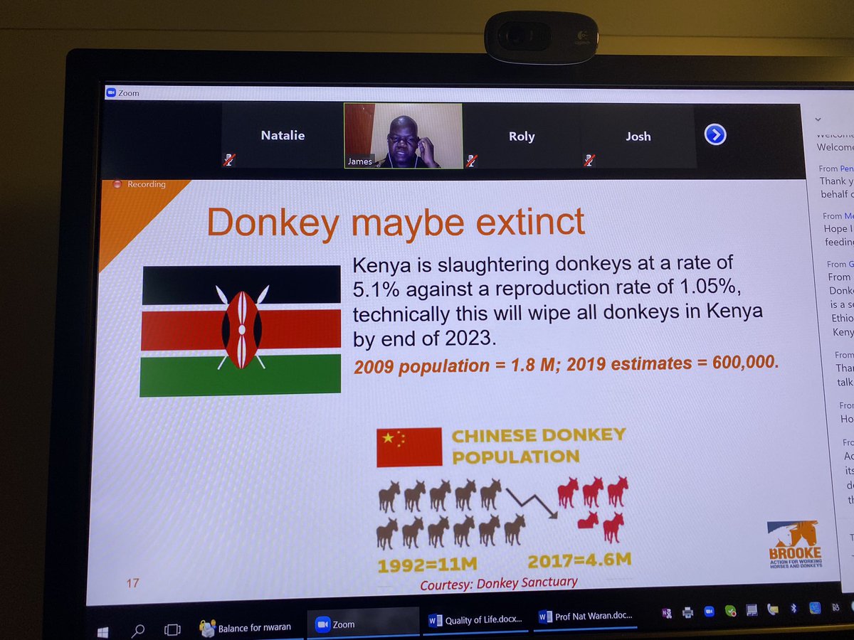 profnatalie's tweet photo. A very good but disturbing talk given by Dr jameskithuka of @TheBrooke about the real risk to the Donkey population in Africa as a result of the demand for donkey hides to produce Ejiao. #wva2020 https://t.co/VmJtp1MBzn