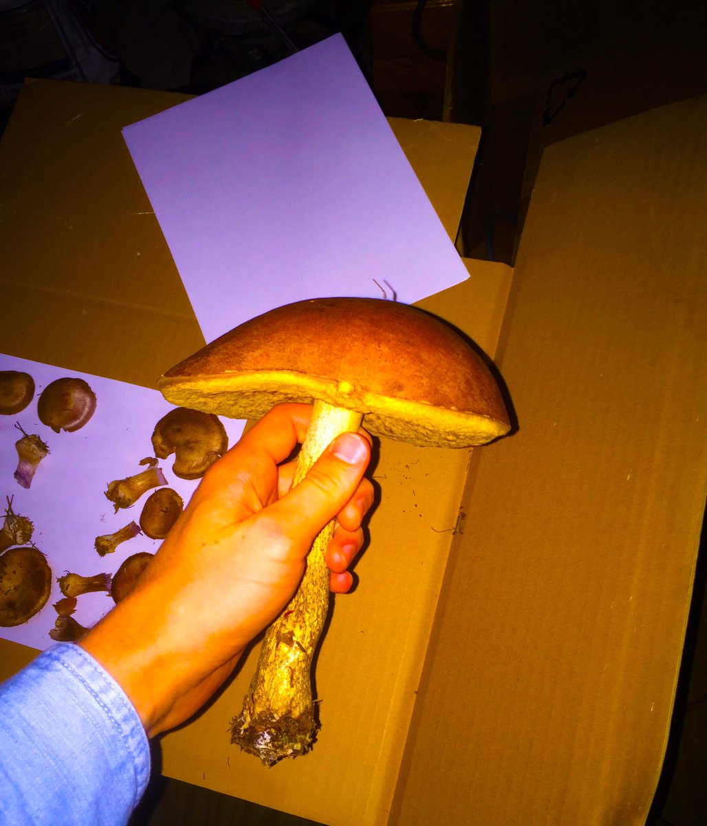 Please share with friends and family and let’s build a nice community!