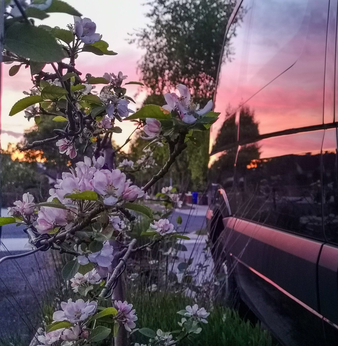 This evening's sunset #naas #sunset