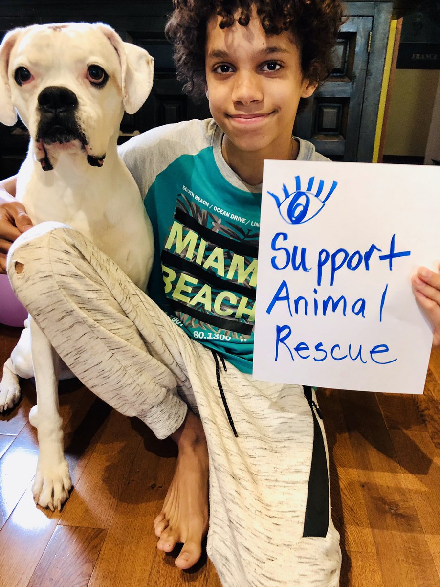 ZoomKin's tweet photo. Stop 🛑 Prosecuting nonviolent activists rescuing sick and dying animals from factory Farms @jillrav prosecute animal abuse instead. #righttorescue https://t.co/LdyFmTrMvO