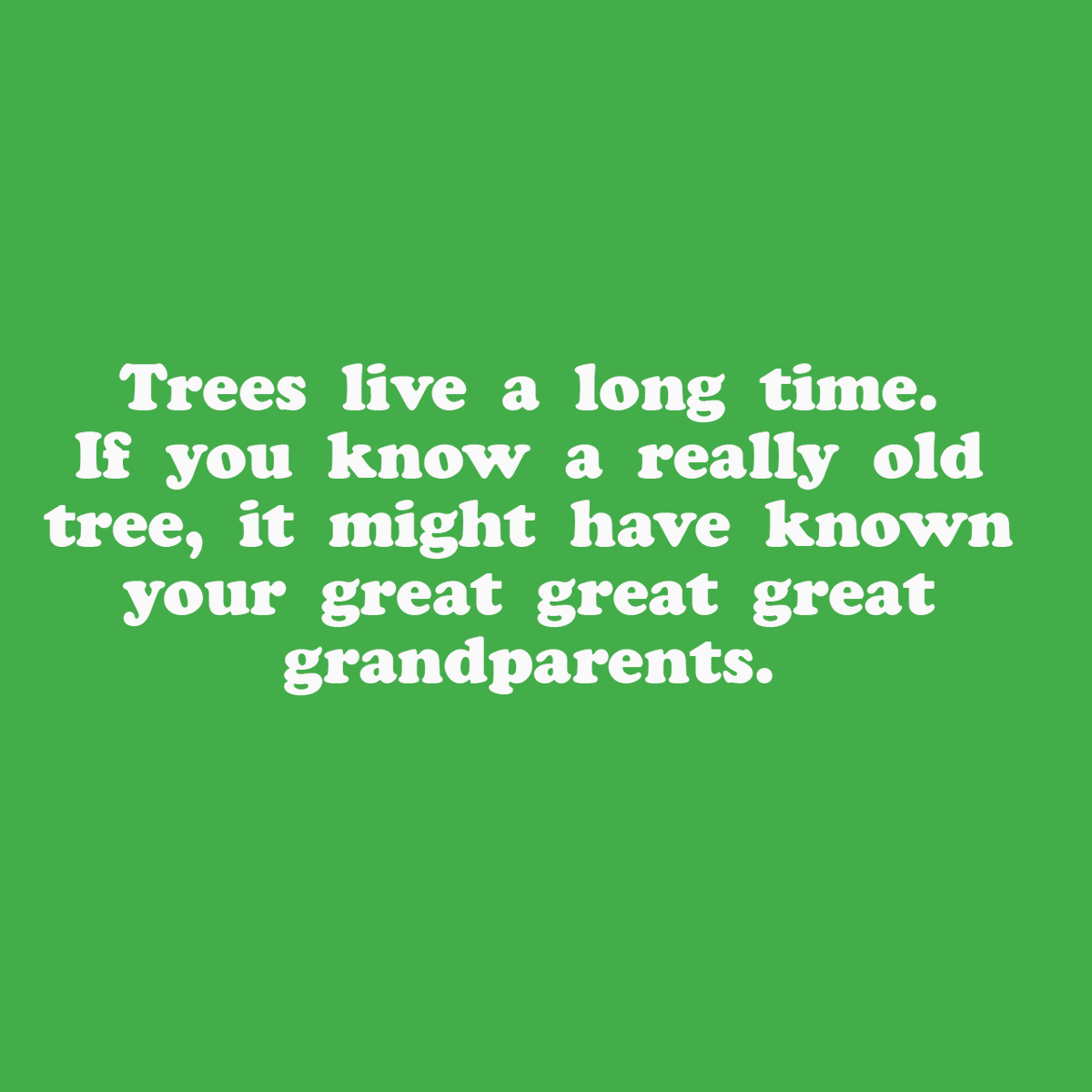 TreePeople_org's tweet photo. Ask your tree if they ever happened to meet one of your ancestors - it's a great conversation starter. #findyourtree #treepeople https://t.co/qRJvjo2rjd