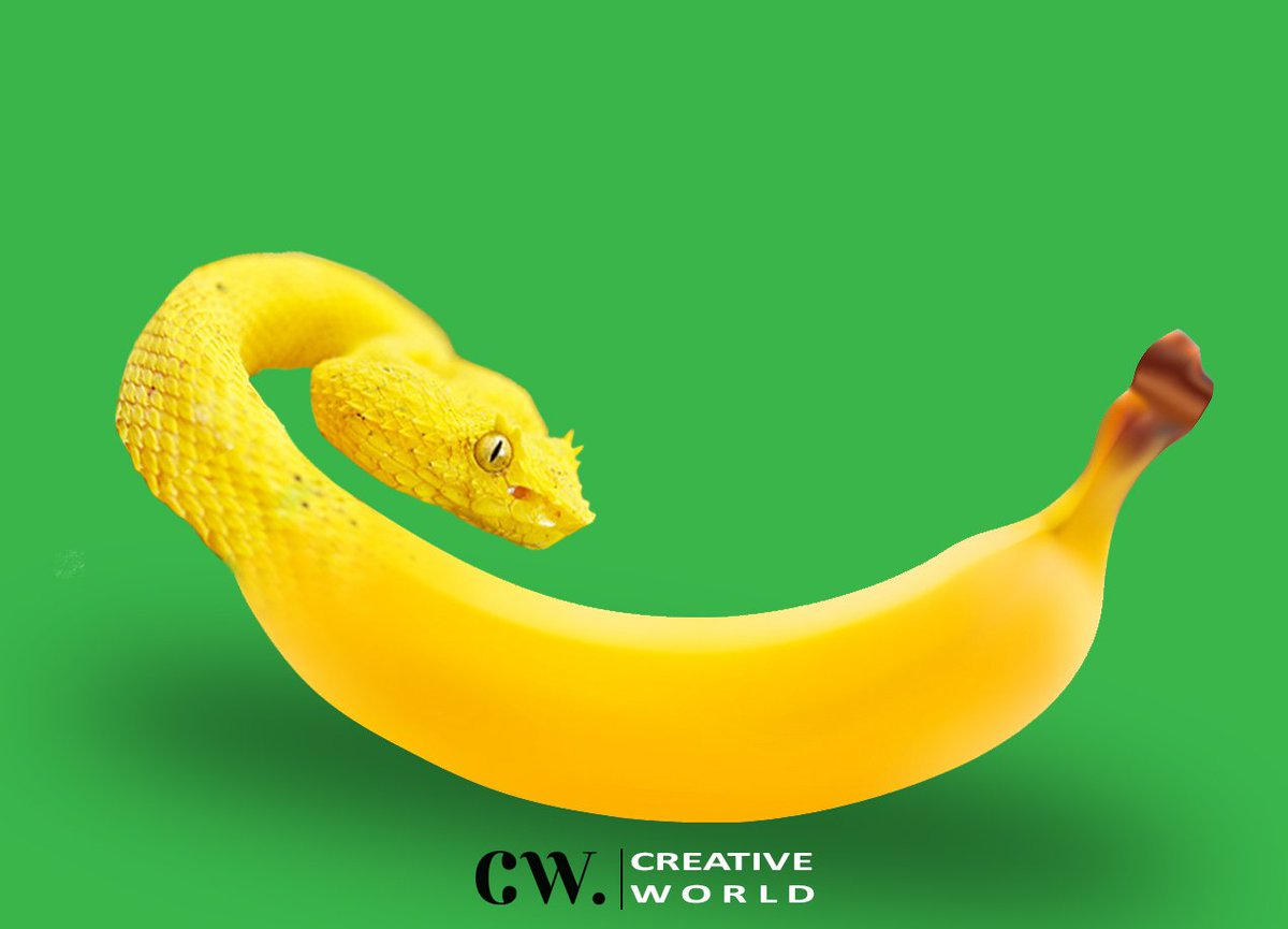 creativeworldcw's tweet photo. CREATIVITY AT IT MAXIMUM APEX
#Picture_Manipulation
#Creative_World https://t.co/SCMQvoL8bu