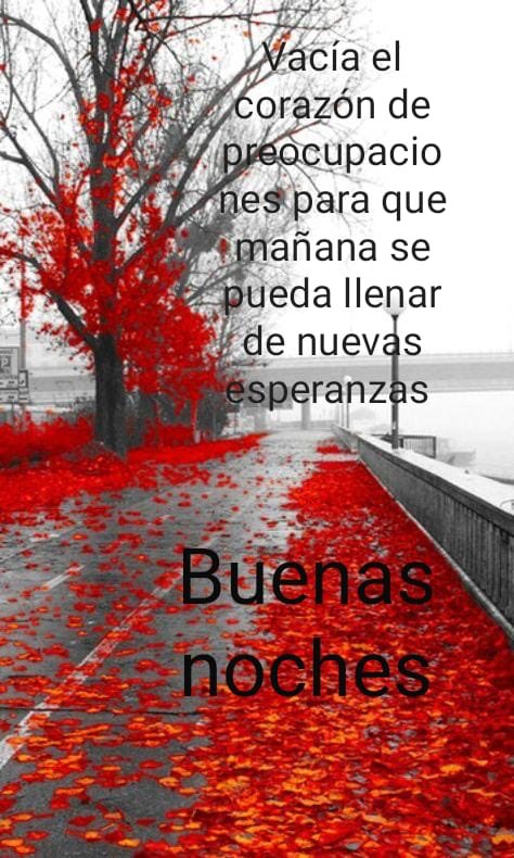 Maria Dolores Carbonell on X: "@12anamartinez34 Feliz noche  corazon???????????????????????????????? https://t.co/K7b2grwEuR" / X