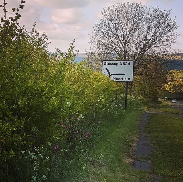 lucybennettabc's tweet photo. I put in this hedge to support wildlife a few years ago. Finally looks like its doing well 😁 And the native hedgerow flowers coming up underneath it too 🌳🌼🐞🐝 https://t.co/vxlK89WBIQ