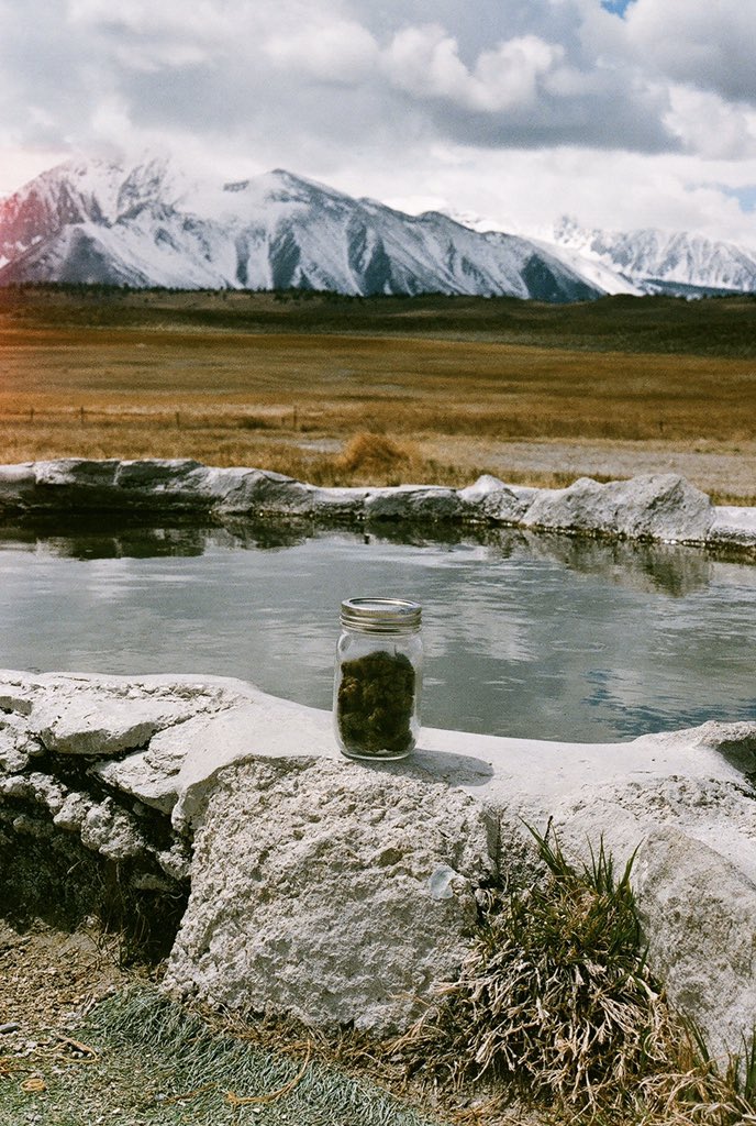jbkillabee's tweet photo. I’m a nature photographer and das it #35mm https://t.co/SL0fgVRxkG