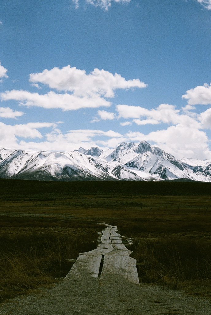 jbkillabee's tweet photo. I’m a nature photographer and das it #35mm https://t.co/SL0fgVRxkG