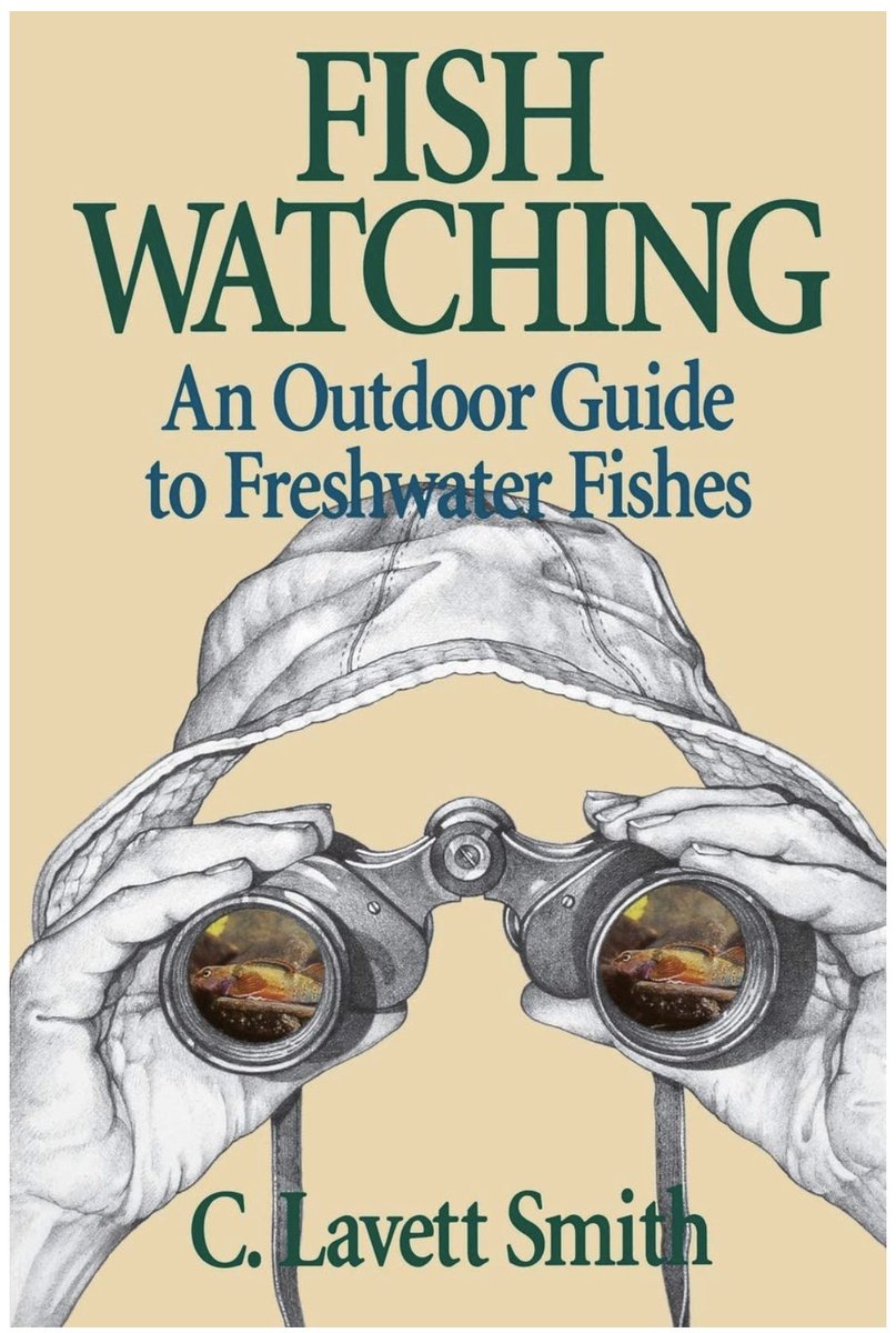 SolomonRDavid's tweet photo. Oooooh I’ll have to check this out! Anyone else read/use this #fishwatching book?🐟
HT @seed_planter https://t.co/muFjSHktzz