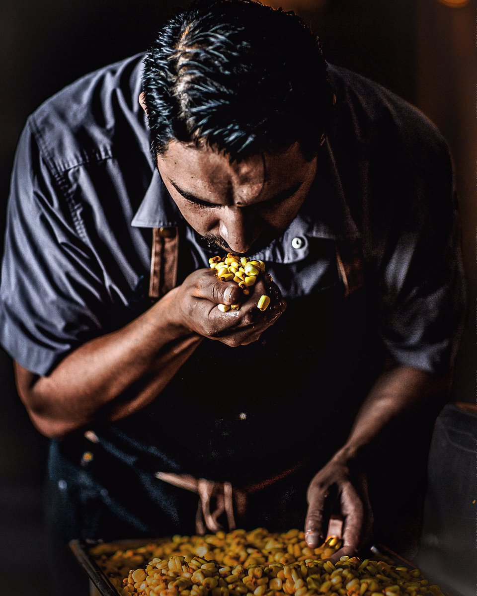 Oh hello Twitter! 
#nixtamal #iandrace #bolitaamarillo #oaxacan #heirloomcorn #hominy #victoriabc #vancouverisland #masienda