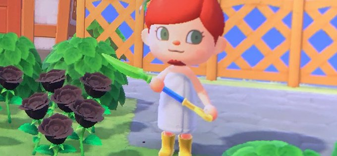My #AnimalCrossing character is modeled after @GrayStillPlays  &lsquo;s Florida man 😂😂 it&rsquo;ll be better when<a href="/tag/animalcrossing"class="tags">#AnimalCrossing</a>
