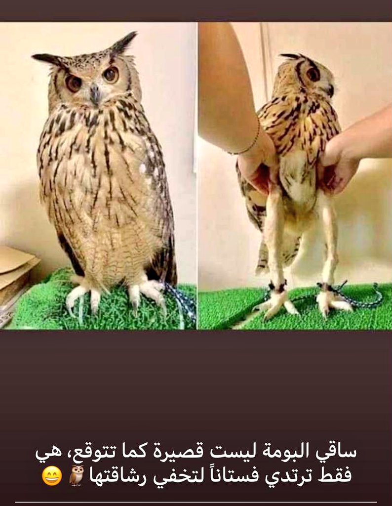MjrdEnsaan's tweet photo. #انقذو https://t.co/NdTfCofhKy