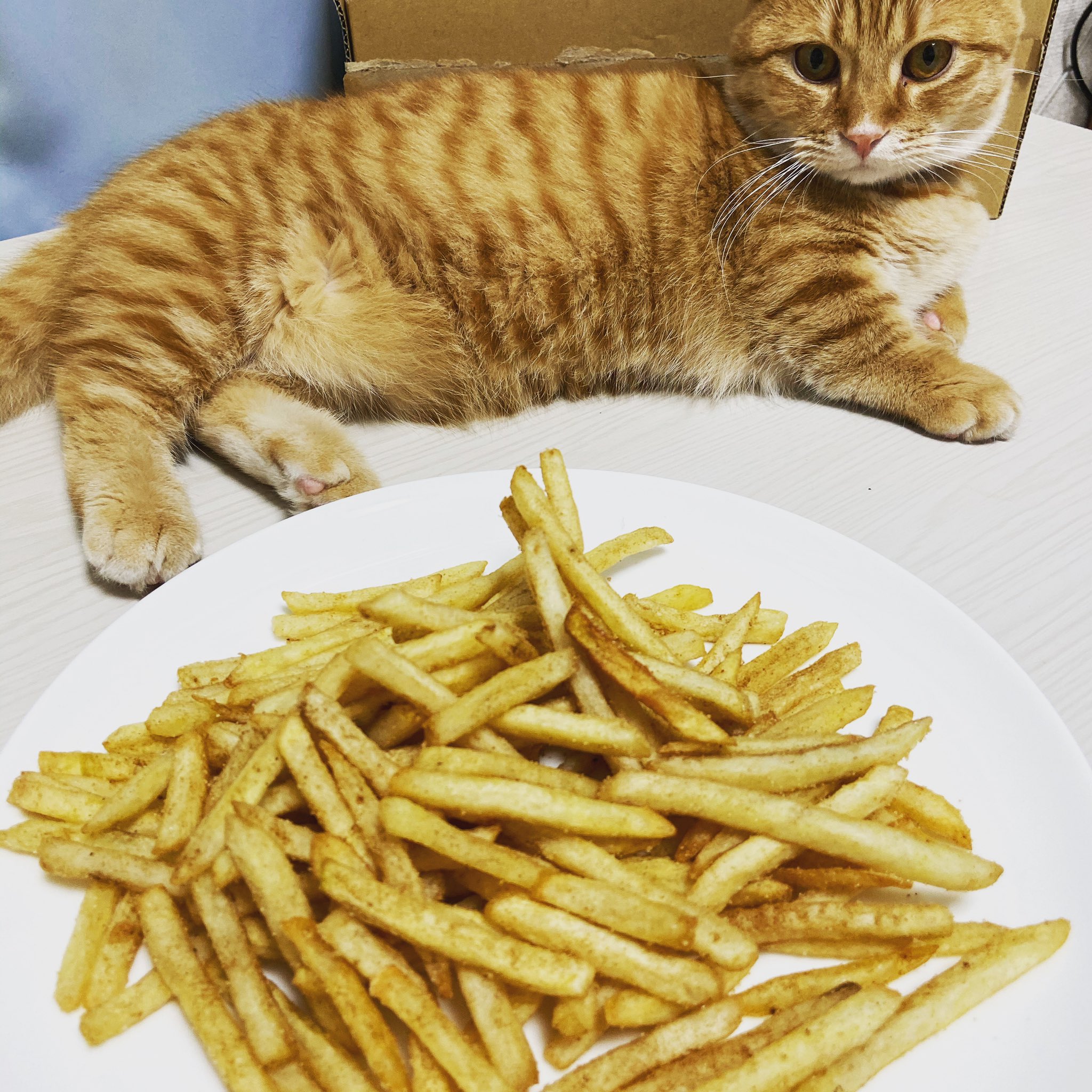ななち 冷凍フライドポテト ビニール袋 コンソメ 塩を用意するじゃろ 揚げて油を切ったポテトをビニール袋にぶち込むじゃろ コンソメと塩をビニール袋に適量入れてシャカシャカ振ればコンソメポテトの出来上がりじゃ W 1ｋｇで0円ちょい