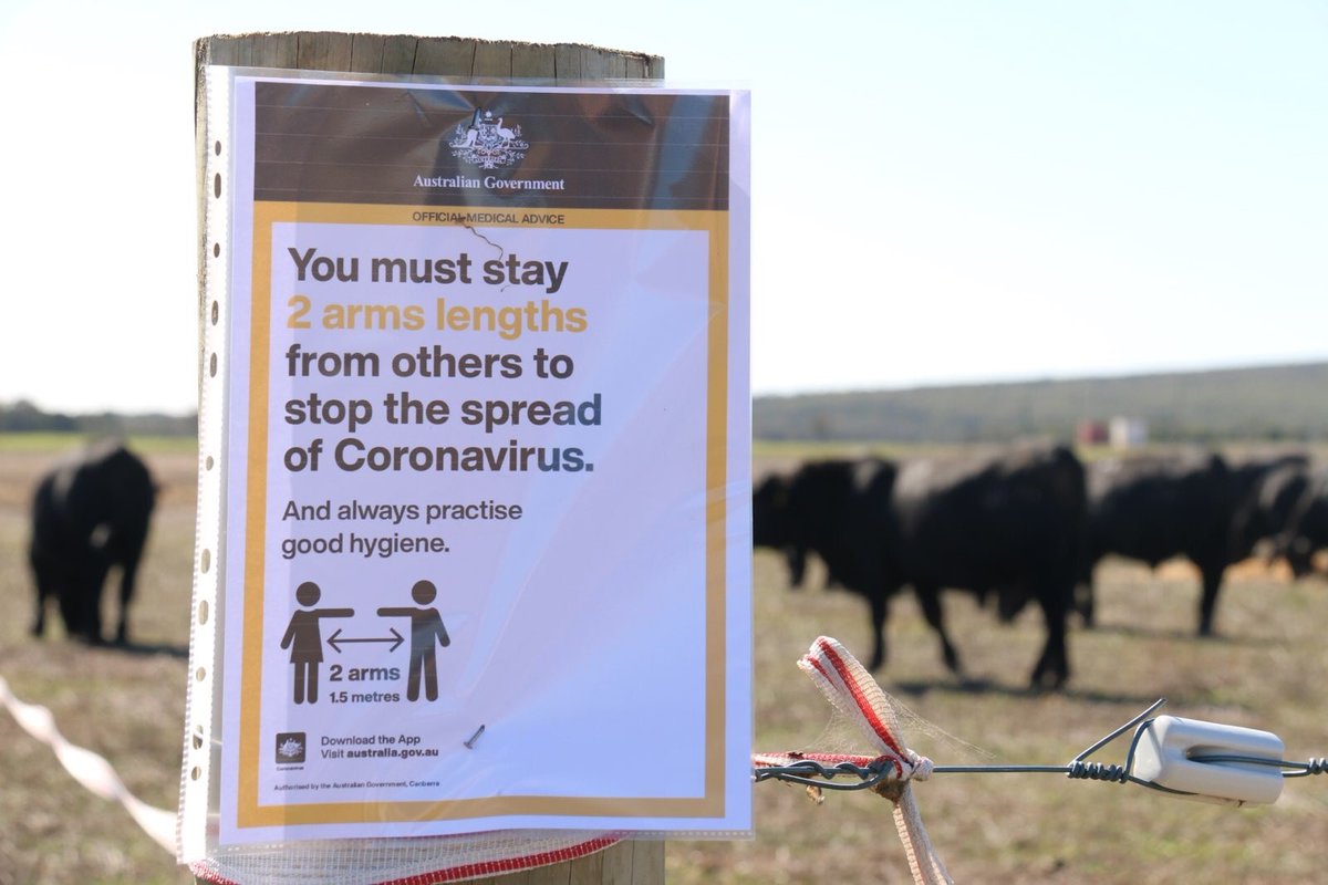 Lawsons Angus tweet media