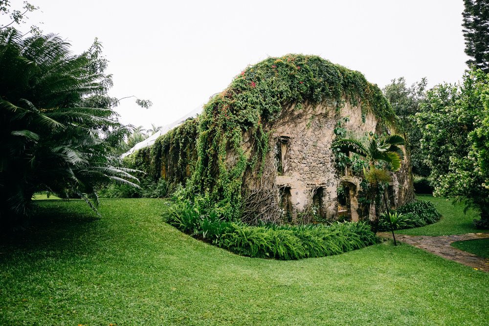 jbmauii's tweet photo. always imagined getting married at the Haiku Mill, it’s just so fucking pretty https://t.co/UeKKEgIdil