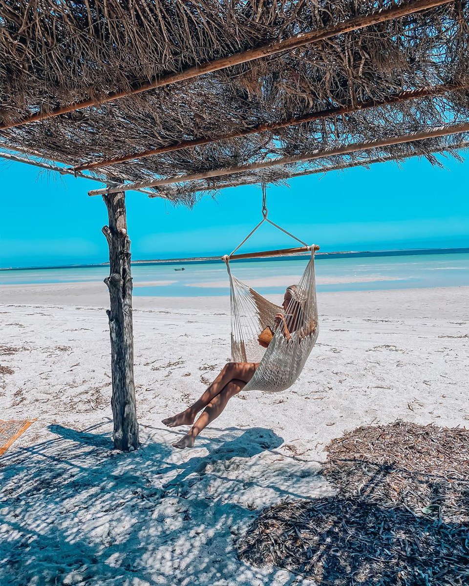 southaustralia's tweet photo. Fiji? No, this postcard worthy paradise is in #SouthAustralia’s own #StreakyBay 🌴🌞. #SeeSouthAustraliaFromHome https://t.co/zRRxKIg4It 📸 charlinke_ (via IG) #SATV #EyrePeninsula #SeeSouthAustralia #beach #TTOT #LP #RTW https://t.co/W4bPAvc2Np