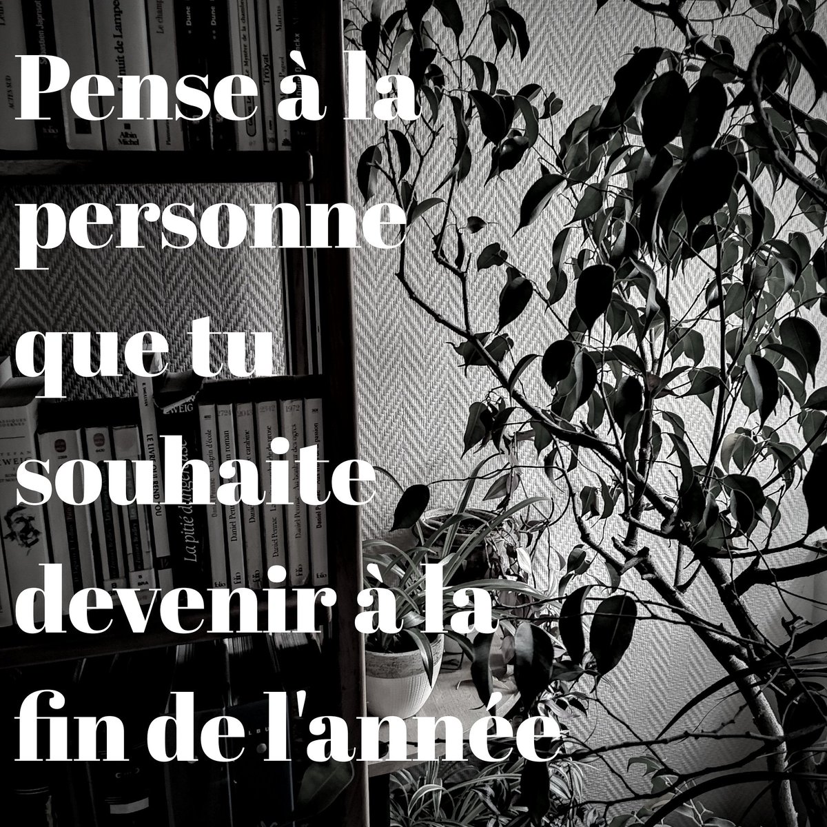 VilletteTimoth3's tweet photo. "pense à la personne que tu souhaite devenir à la fin de l'année." https://t.co/4vsGY6FmkD