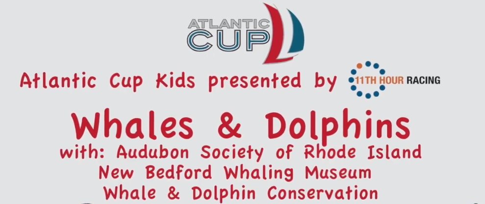 Looking for something fun to watch? Check out this great video put on by <a href="/TheAtlanticCup/">The Atlantic Cup</a> and <a href="/11thHourRacing/">11th Hour Racing</a>! It features WDC, <a href="/whalingmuseum/">New Bedford Whaling Museum</a> and <a href="/RIAudubon/">RIAudubon</a> as they teach about #whales and dolphins! 
bit.ly/2V47Mwq