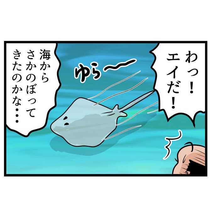 川にデカいエイがいたでござる。こちらから読んでねでござる。
?????
https://t.co/EAyrXxwweT 