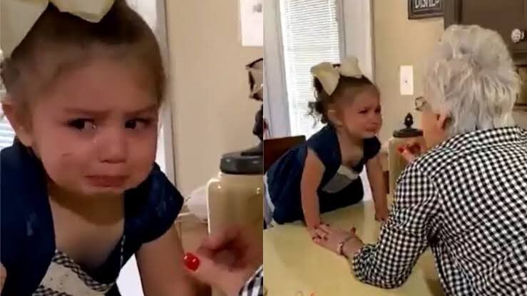 Eu depois da Live do Jorge e Matheus e minha avó me consolando..  #LiveJorgeeMateus #JeMBrahmaLive