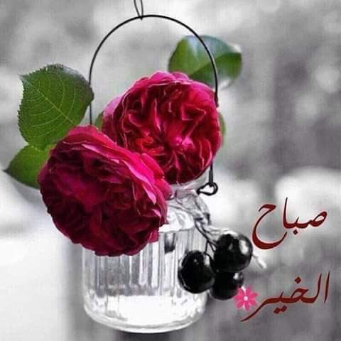 ZbkhanGee's tweet photo. 💦السلام علیکم ورحمتہ اللہ💦 

💐بسم اللہ الرحمن الرحیم💐 

يَا أَيُّهَا الَّذِينَ آمَنُوا اسْتَعِينُوا بِالصَّبْرِ وَالصَّلَاةِ ۚ إِنَّ اللَّهَ مَعَ الصَّابِرِينَ ٭

اے ایمان والو! صبر اور نماز سے مدد چاہو بےشک الله صابروں کے ساتھ ہے 
💗💓🌸صبح بخیر🌸💓💗 https://t.co/oUG24ivQFJ