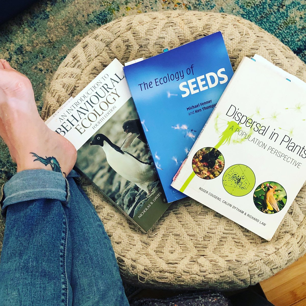 loco4eco1's tweet photo. Just a little weekend reading...interesting how my research and my gardening seed addiction/hoarding seem to have found a balance, hmm.... #seedaddict #zoochory #ecology #communityecology #behaviorallandscapeecology #foragingstrategies #seedhoarder https://t.co/vrT2HGZFxR