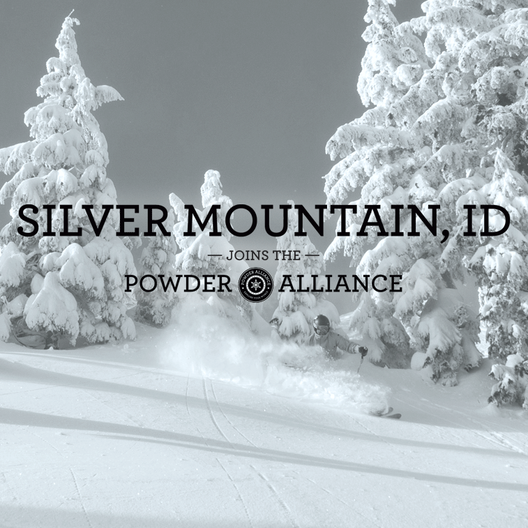Silver Mountain tweet media