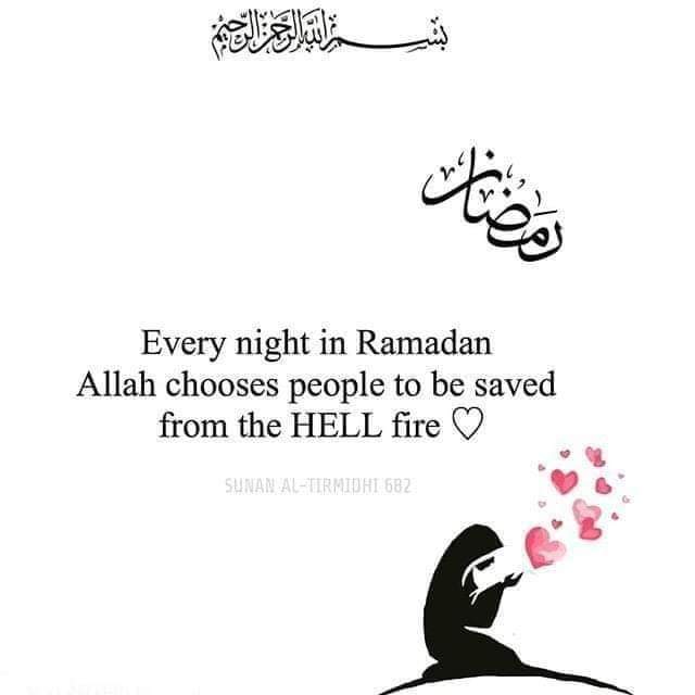 SayedYassin2013 tweet picture