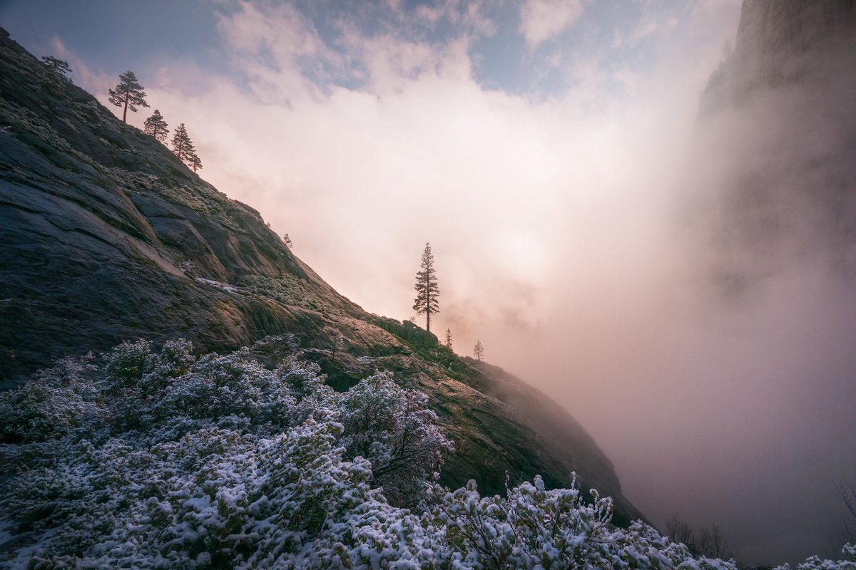 Wilderness tweet picture