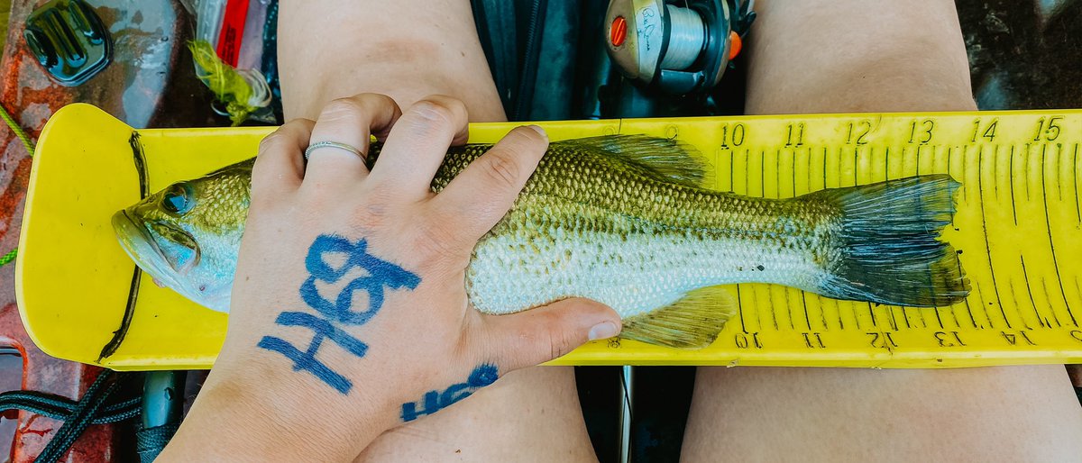 agparham74's tweet photo. Caught this fish on my @LuresMcmillans Junebug senkos! #fishtolive #mcmillanscustomlures https://t.co/9urnKK6aL6