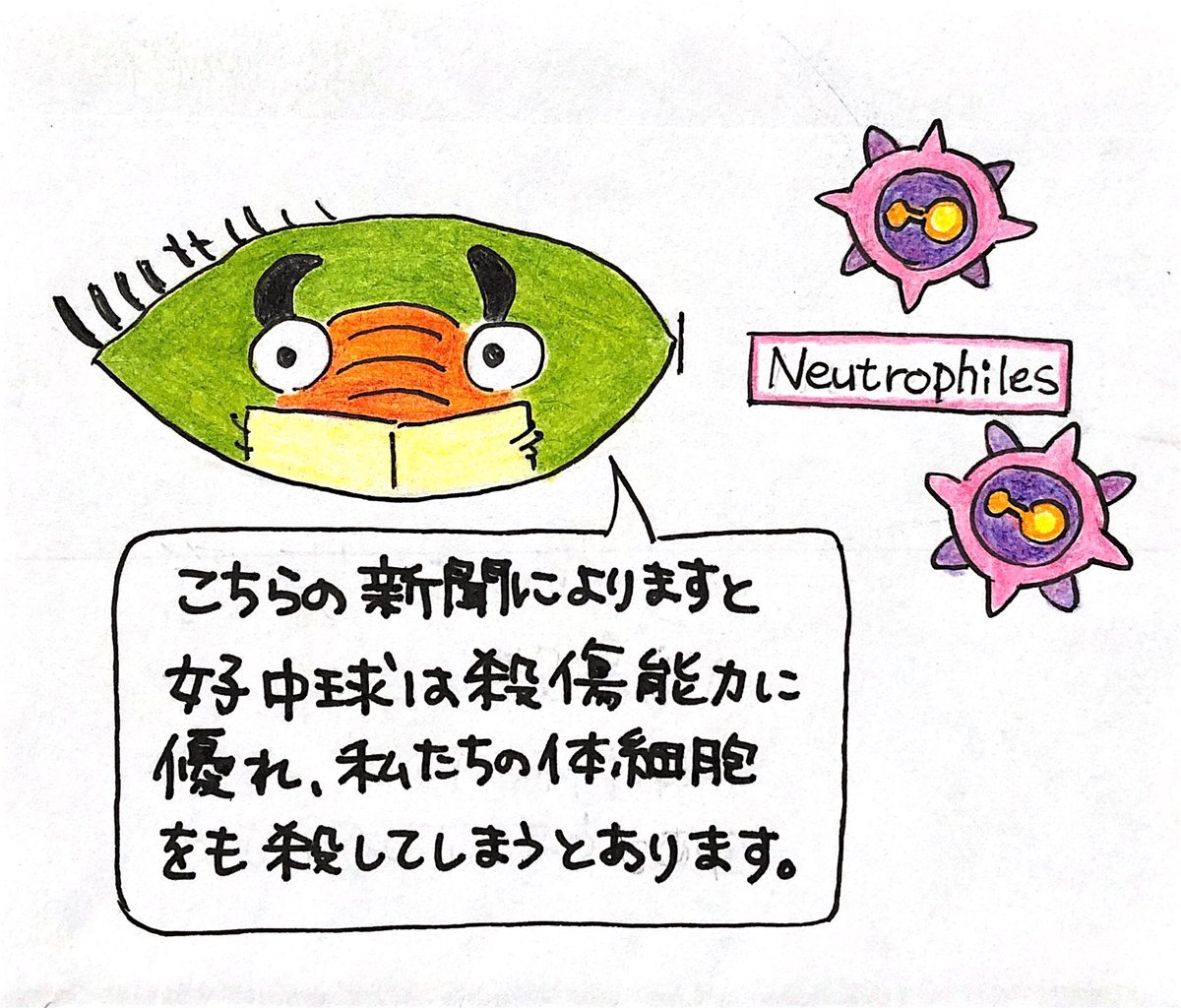 Abecobe 369 コロナがいっぱい 31頁 読売新聞 シンボルキャラクター どれどれ どれどれの唄 こちらの新聞によりますと 好中球ら殺傷能力に優れ 私たちの体細胞をも殺してしまうとあります Neutrophiles ステイホーム Stayhome Covid 19 スタジオ Abecobe 369 コロナがいっぱい 31頁 読売新聞 シンボルキャラクター どれどれ どれどれの唄 こちらの新聞によりますと 好中球ら殺傷能力に優れ 私たちの体細胞をも殺してしまうとあります Neutrophiles ステイホーム Stayhome Covid 19 スタジオ