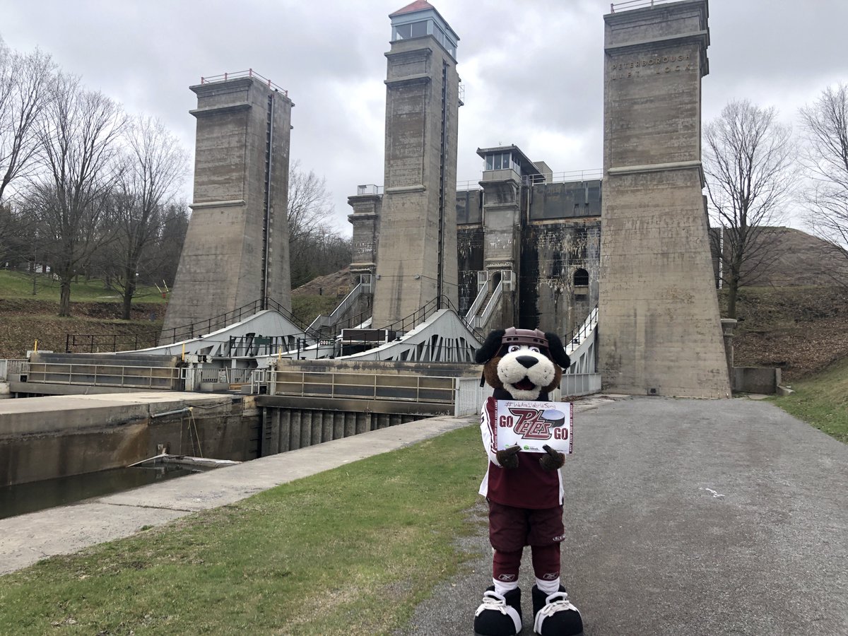 PetesOHLhockey's tweet photo. While Roger was rocking the #WeaAre1WorldSong challenge (thanks for the nomination Charlie Horse), a few fans pulled over for a distance-chat at the Lift Lock!
#gopetesgo #ptbo #Lock21 #puckCOVID https://t.co/gTL4ZzOakR