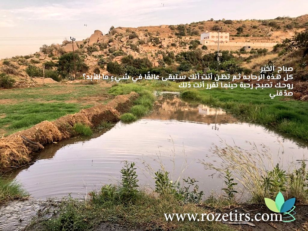 rozetirs's tweet photo. لاتُشغل بالك في كيفية الفرج ، فإن الله إذا أراد شيئا هيأ له أسبابه بشكل لايخطر على البال! 
قال تعالى {لا تدري لعل الله يحدث بعد ذلك أمرا}.

#الحظر_الكلي
#السعودية https://t.co/IHOLSnaw2C